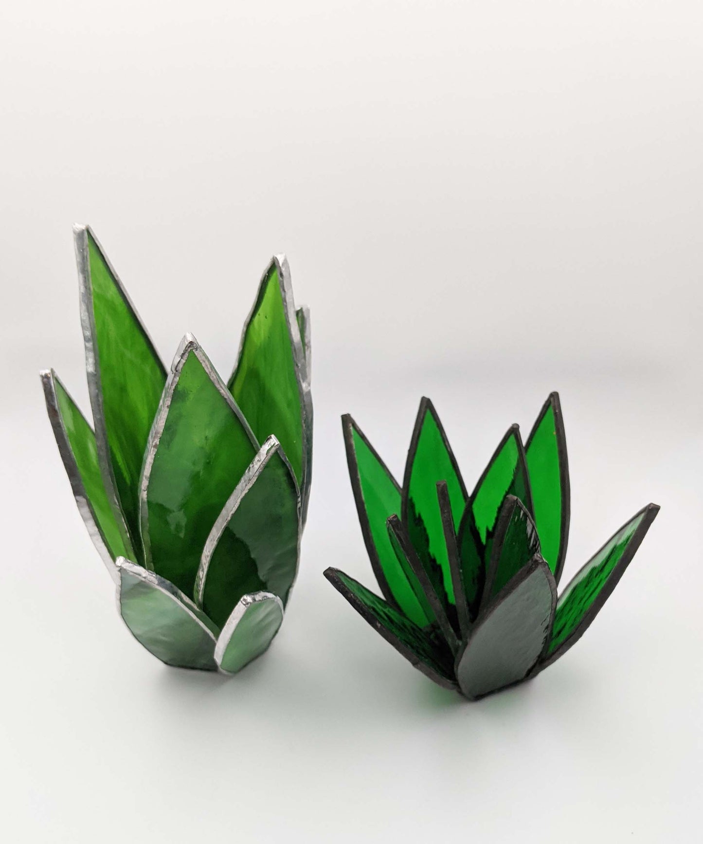 3D Spikey Succulent TUTORIAL