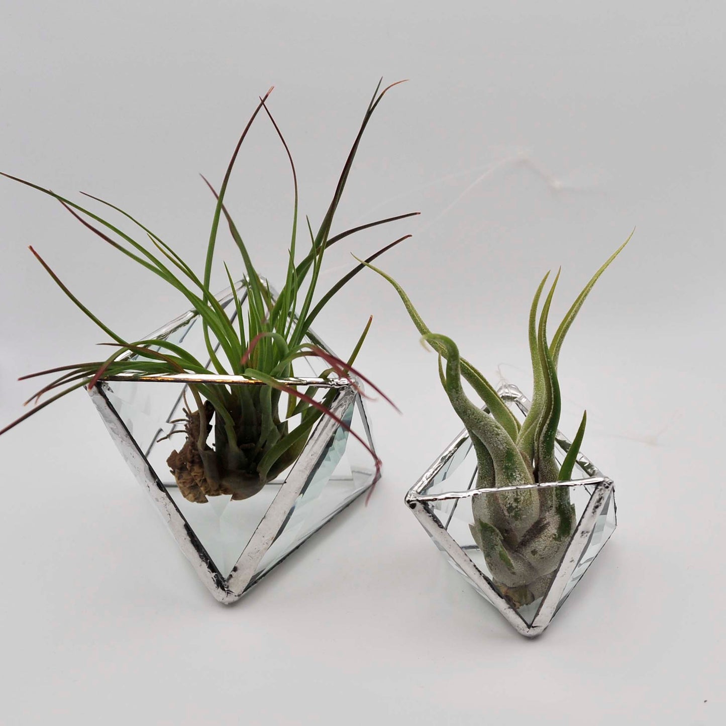 Geometric Pyramid Bevel Hanging Terrarium