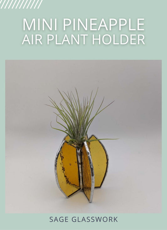 Mini Pineapple Air Plant Holder TUTORIAL