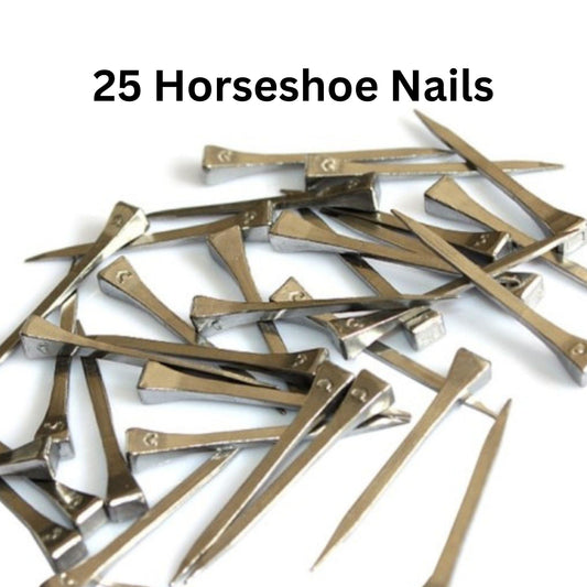 25 horseshoe nails, 2" long