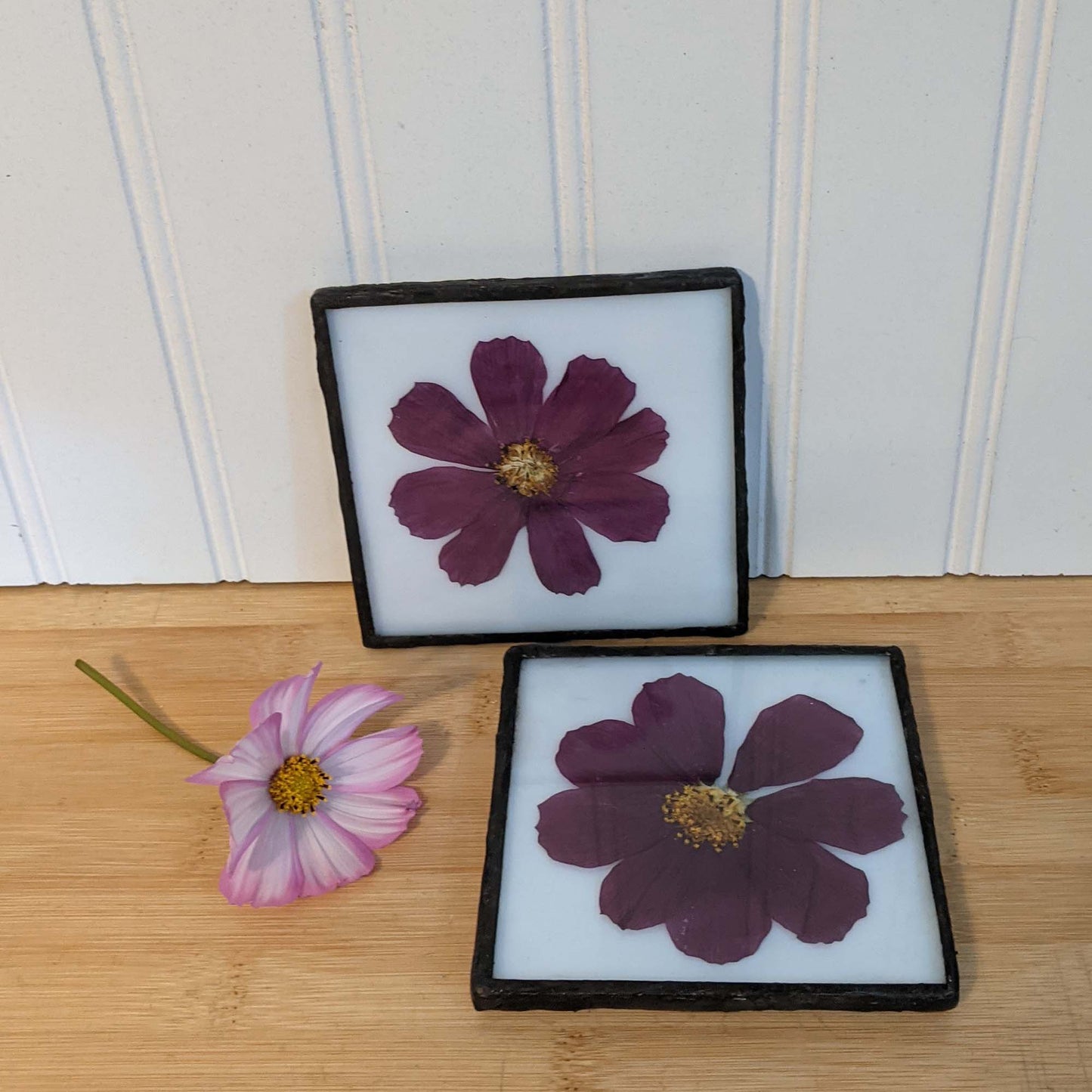 Pressed Flower Coaster stained glass pattern and TUTORIAL