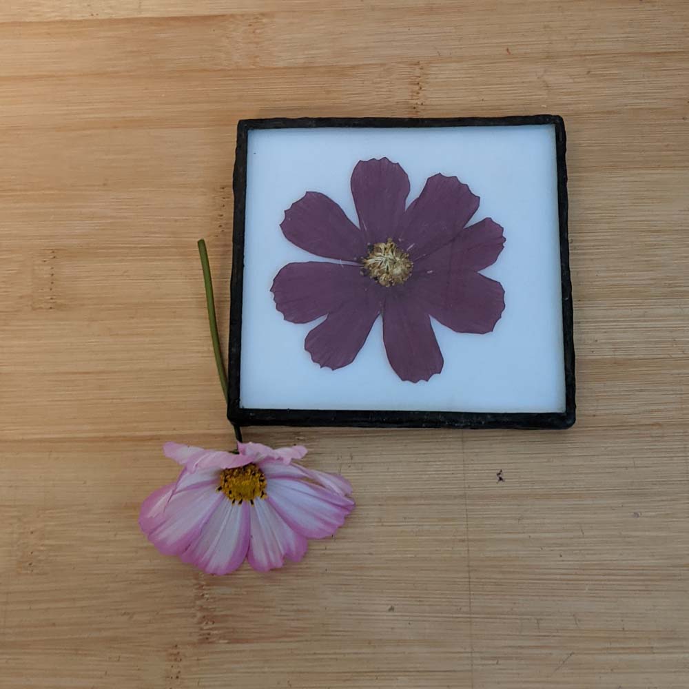 Pressed Flower Coaster stained glass pattern and TUTORIAL